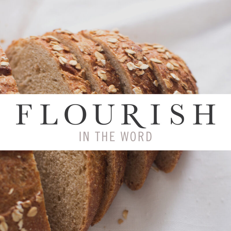 Flourish in the Word
