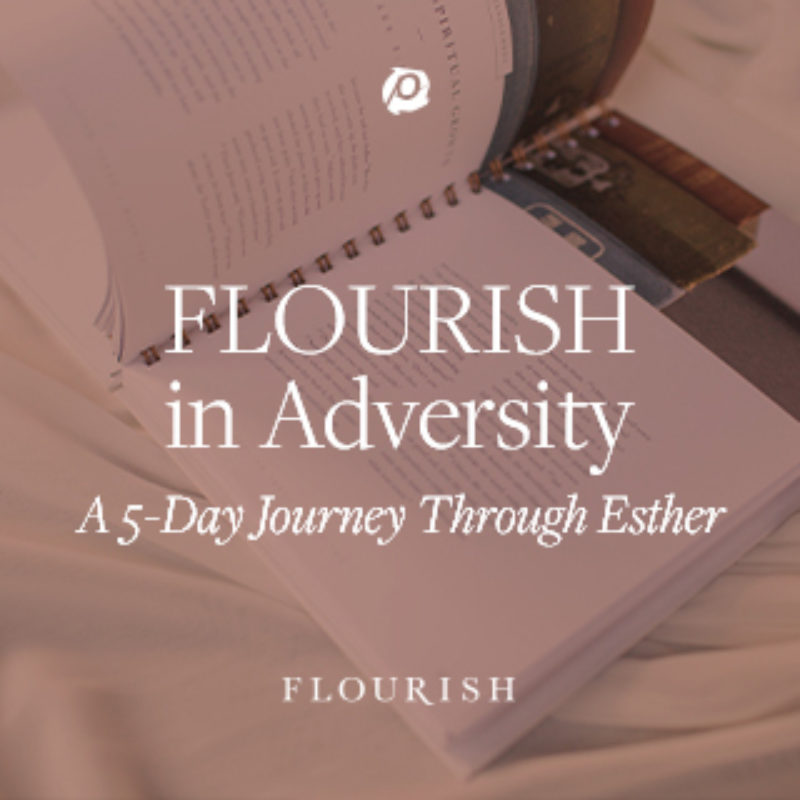 Flourish in Adversity