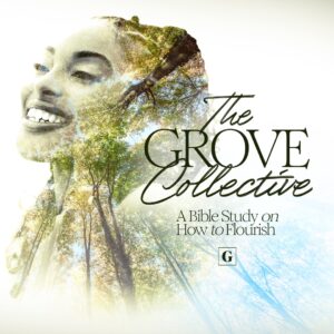 The Grove | Women’s Ministry & Mentoring